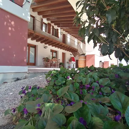 Il Salice Ridente * Pasiano Di Pordenone